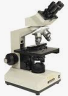 Microscope Binocular
