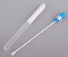 High Vaginal Swab (HVS) -Disposable